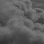 Support plan for Brighton Estate Agent